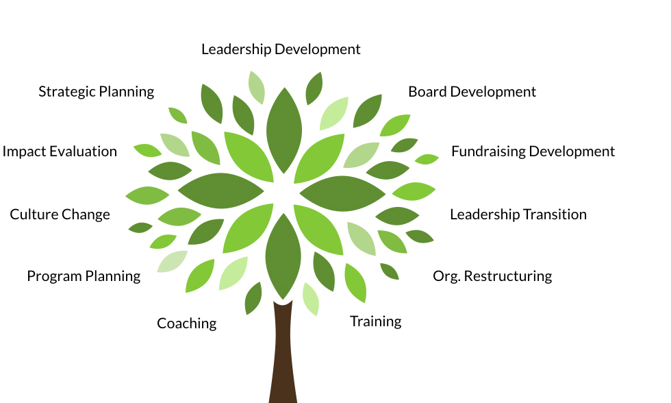 Capacity Building Tree UPDATED v2